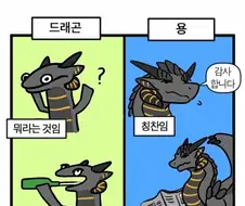 간단하게 보는 용과 드래곤의 차이.manwha