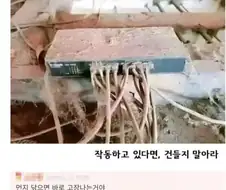 IT업계의 명언 jpg.