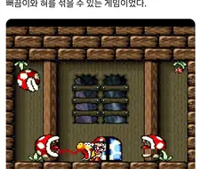 천솜향이 요약하는 요시 아일랜드