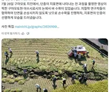 다족전차처럼 보이는 착시 사진.jpg