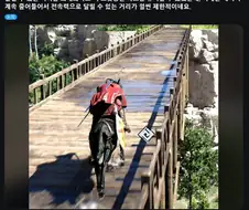 붉은사막) 게임이 너무 쉬워졌다는 유저들.JPG