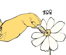 귀여운 꿀벌 만화