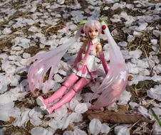 사진이 안이뻐서 보정프로그램이라는거 처음 써봄.