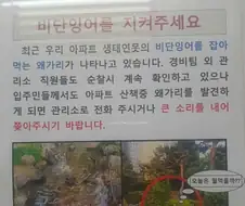 아파트 단지내 왜가리