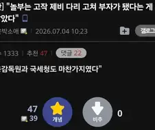 놀부 :뭐? 제비다리를 고쳐줘?