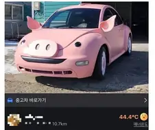 당근 중고차 레전드 돼지매물.jpg