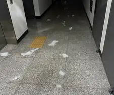 해병과 그레텔