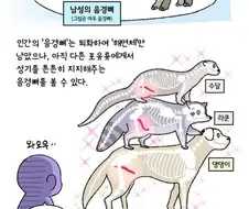 남의 쥬지가 더 탐나는 만화