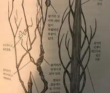 장편 만화의 좋은예, 나쁜예