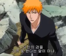 블리치)이치고 말빨이 안 통하던 상대