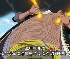 원피스)의외로 작중 전개에 큰 영향을 끼치지 않은 명대사
