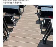 투명 유리창에 부딪쳐 죽는 새들의 심정을 알겠다