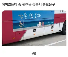 강릉 또 오자!