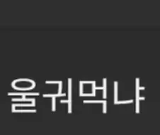 인터넷 글들 특징 .jpg