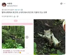 산에서 꽃사진 찍는데 같이 찍힌 것.jpg