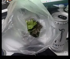 이짤 볼수록 개폭력적이네