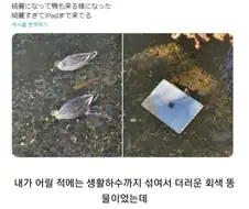 일본 하천 vs 한국 하천