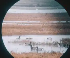 최초로 촬영된 목성의 사진(1841)