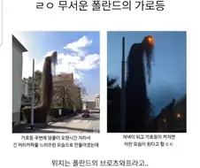 폴란드 공무원의 민원 유기 결과