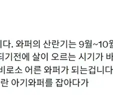 와퍼 주니어 먹지마라.jpg