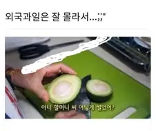 잘랐다고?