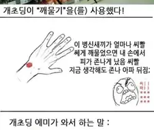 정직한 만화 Manhwa