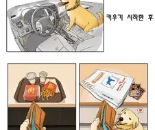 반려동물을 키우기 전과 후