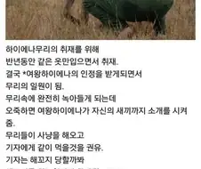 하이에나 : 에휴, 그래 인간아 너 인정해주마;;;;