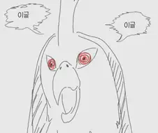 원피스) "이무가 앵무새면 악마의 열매는"