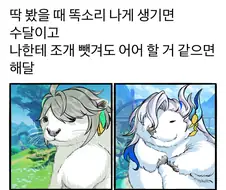 원신) 수달과 해달의 차이