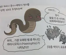 어린이들은 이해할수 없는 어린이용 만화