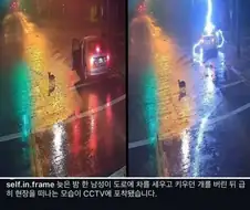 강아지 버린 주인 그 순간 날벼락 맞아