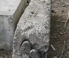 공구리 타설할때 버려진 쓰레기