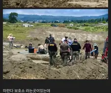 동물 보호단체의 어둠
