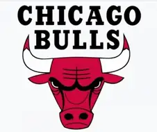 농구) 단 한명만 없었으면 무능한 팀