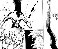 헌터x헌터 제넨사도 포기할정도의 사후넨의 근접할정도의 대가류 甲