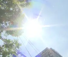 한국에서 아아가 있는 이유