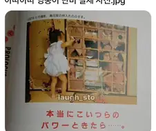 아따아따 영웅이 단비 실제 사진