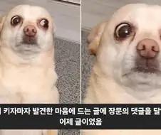 댓글 달았는데 굉장히 뻘쭘해지는 순간.jpg