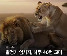 잘생긴놈보면 환장한다는 암컷