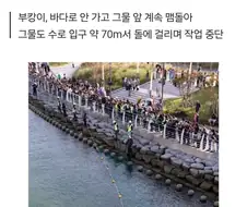 부캉이 스스로 나가도록 한다