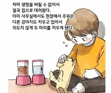 고독사 현장에 남겨진 반려동물.manhwa
