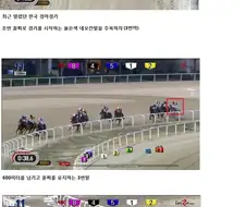 Fx전사 쿠루미 주인공 성우 사신짱 배역했었네