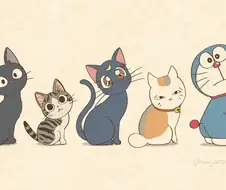 한 마리만 입양 가능함