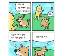 개:그래도 못난 주인놈을 사랑하마.jpg