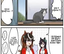 [말딸] 트레이너실에 고양이가 들어옴.manhwa