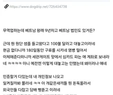 베트남 세관 뭔 돈독올랐냐