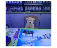 실업률 체감 사진 jpg
