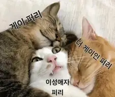 이성애자 퍼리의 단점