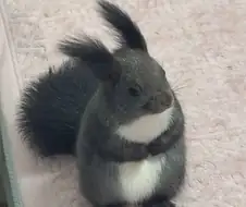 예의바른